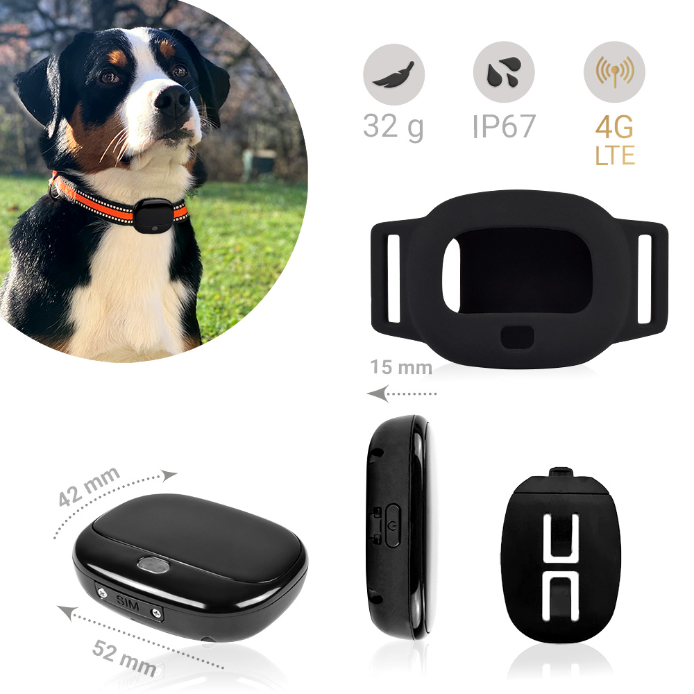 Traceur GPS PET Finder 4G - Gardez votre chien protégé