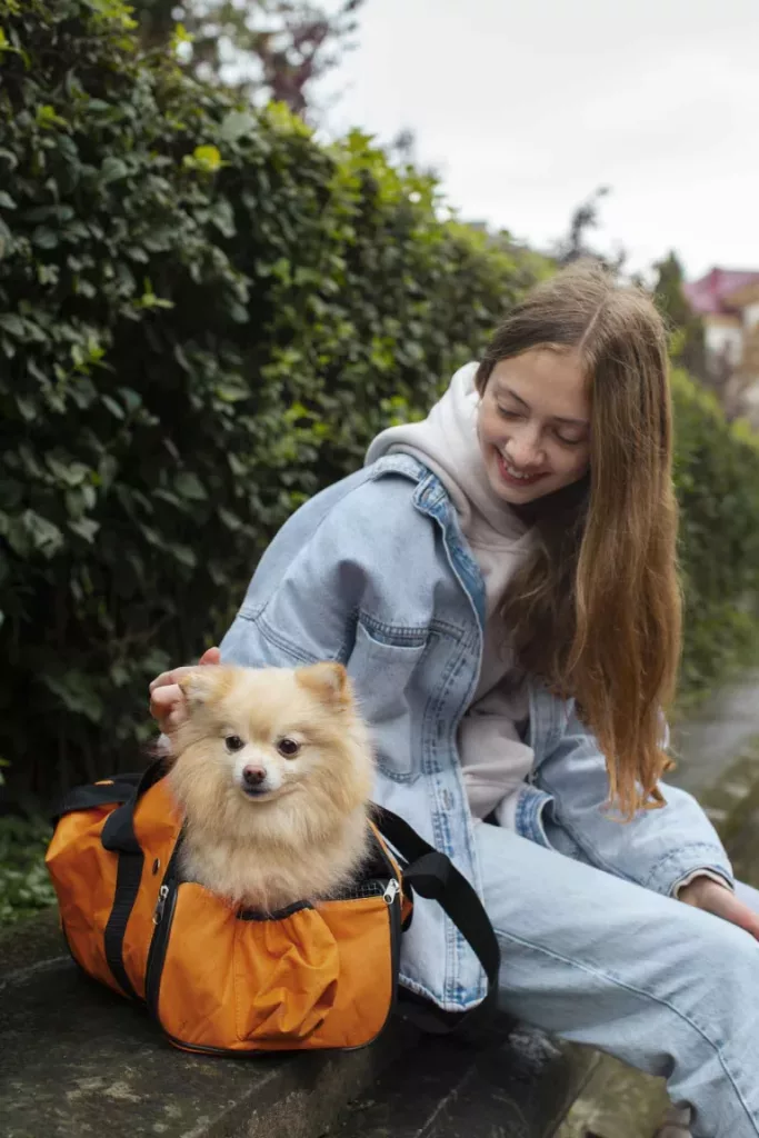Un chien dans un sac de transport avec sa maitresse