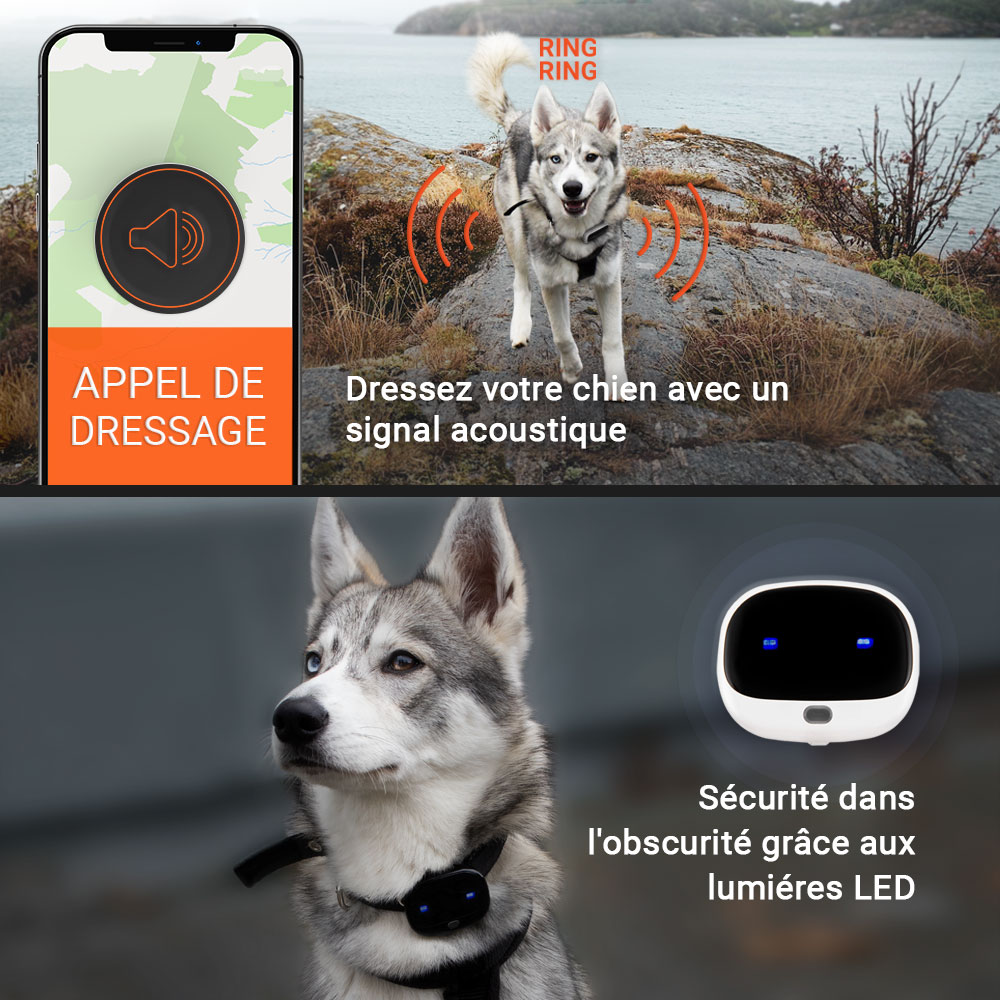 Traceur GPS PET Finder 4G - Gardez votre chien protégé