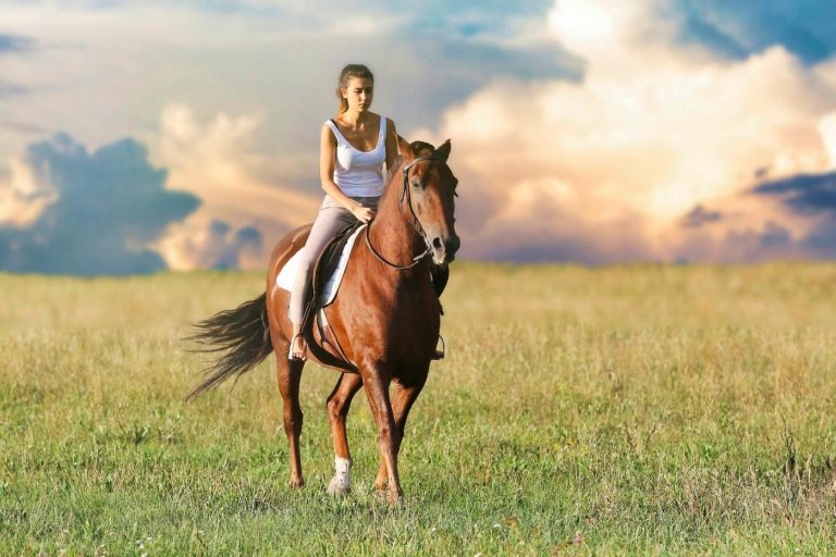 Une femme sur son fidele destrier galope dans la pre