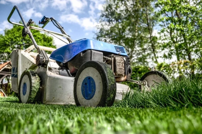 Une tondeuse a gazon dans un jardin