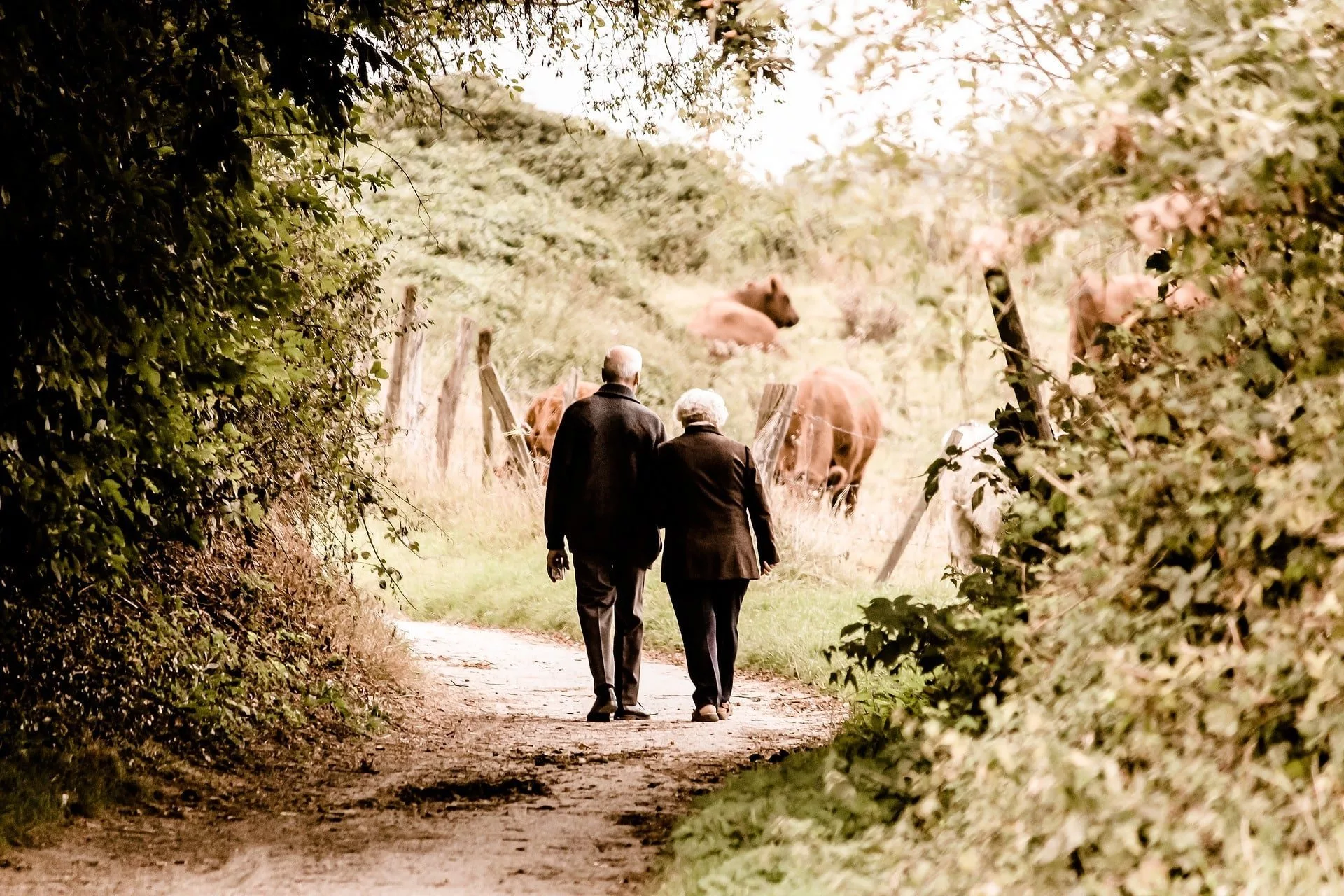 Deux seniors se promenent dans un parc