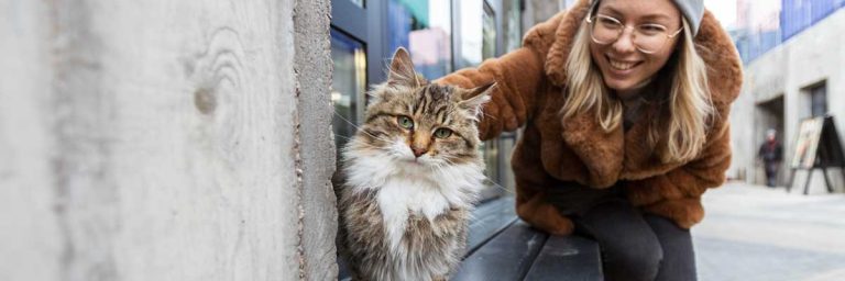 Une femme caresse son chat au bord de la fenetre